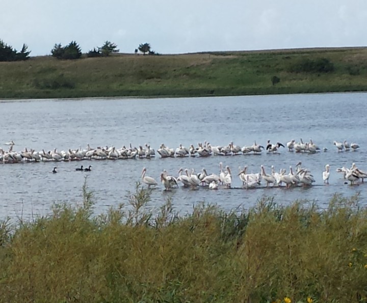 IMG_20160829_151552 (2)