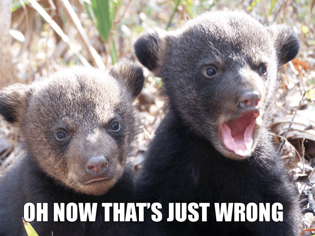 thats_just_wrong_bears