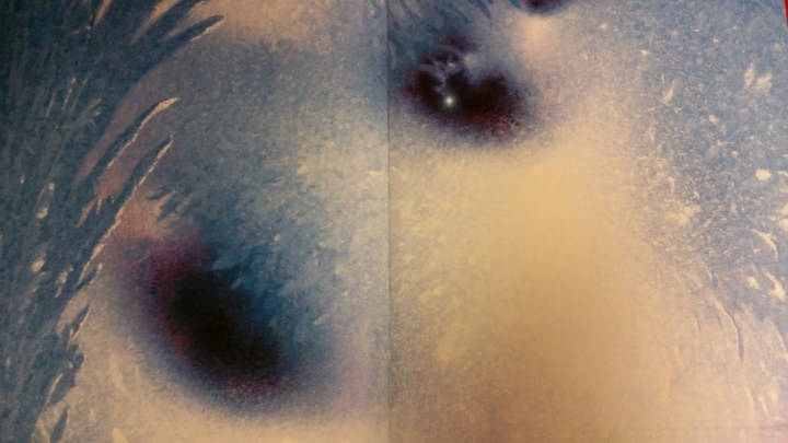 inside-cover-of-this-is-the-star