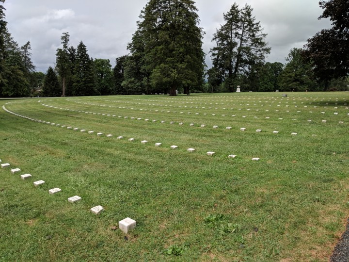 MVIMG_20180724_140753