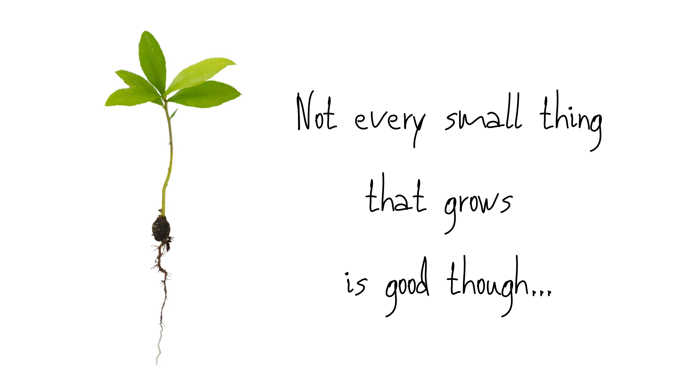 Small Goodness Small Things – saint sinner seeker